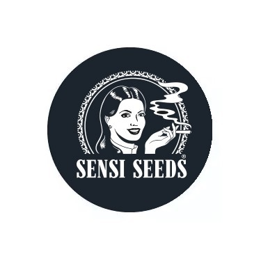 Sensi Seeds auto